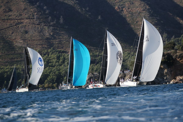 Hemithea Regatta