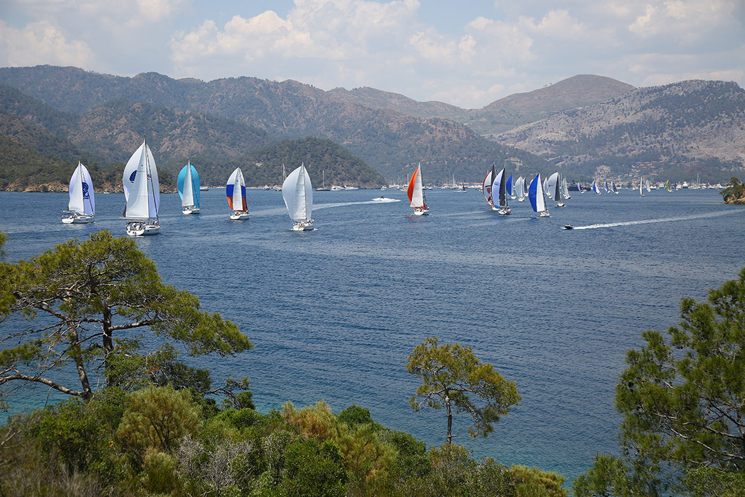 gocek cup