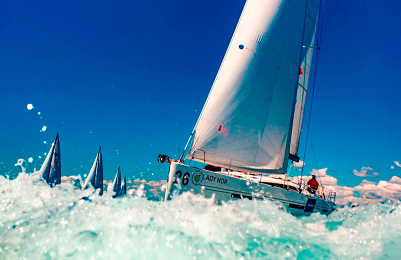 Любительские регаты для новичков