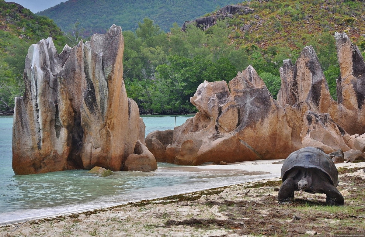 сейшелы маршрут 1 10 дней остров маэ 012